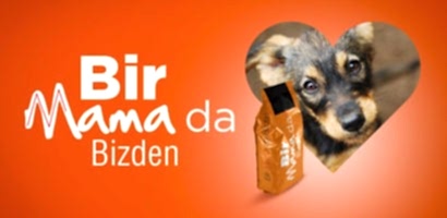 01 1200x600 hitclubspa sokak hayvanlari kampanyasi bir mama da bizden