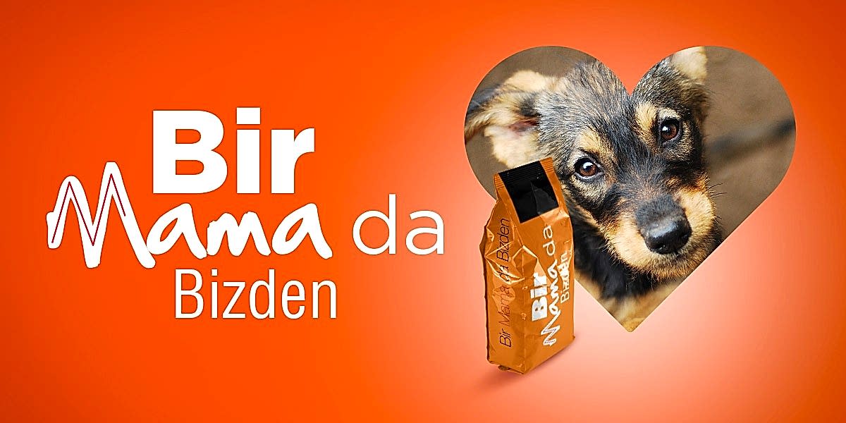 01 1200x600 hitclubspa sokak hayvanlari kampanyasi bir mama da bizden